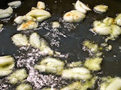 Add Garlic to the pan of Oil