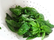 basil in strainer