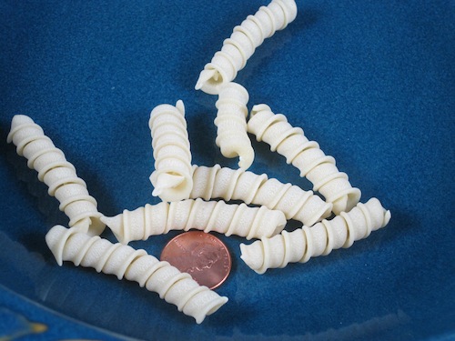 Cannolocchi Pasta Shape