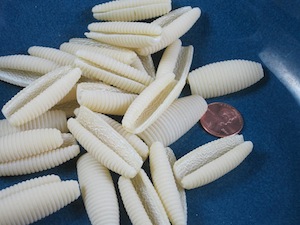 Cavatappi Pasta Shape
