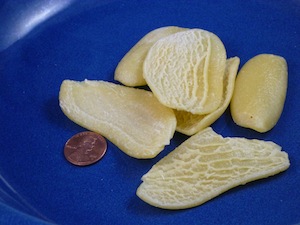 Cencioni Pasta Shape
