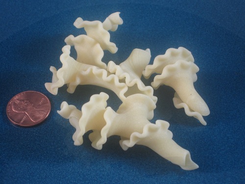 Corals Pasta Shape