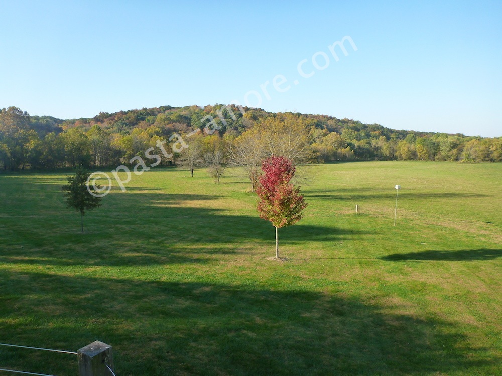 fall at the farm in Columbia Missouri
