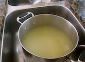 Fish Stock Bones
