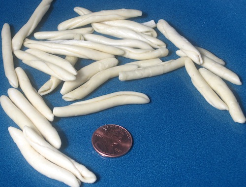 Fusilli Paesani Pasta Shape