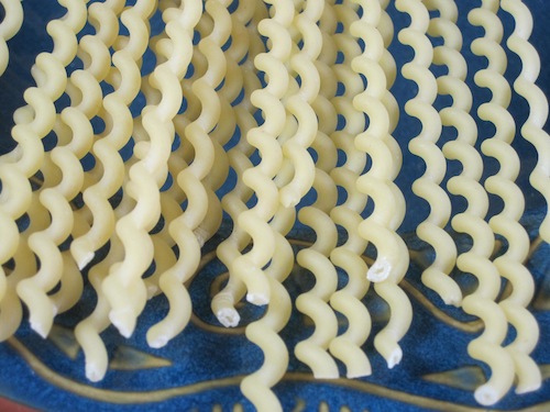 Fusilli Bucatini Pasta Shape