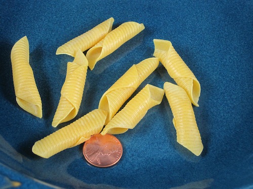 Garganelli Pasta Shape