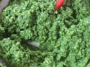 Pesto with cheeses blended
