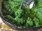 basil in processor
