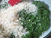 basil in processor
