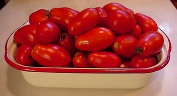 tomato sauce pasta with wine