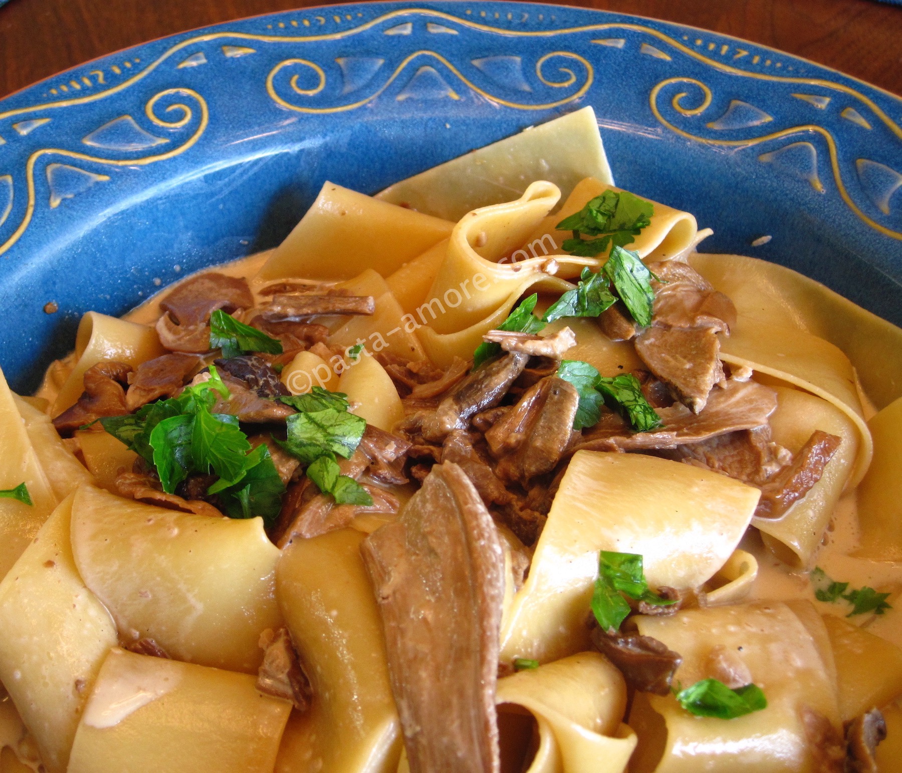 Porcini Pasta Recipe