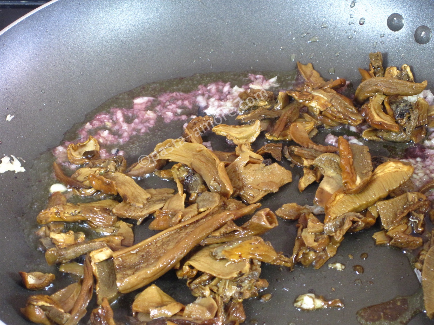 porcini mushrooms