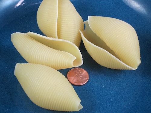 Large pasta shells