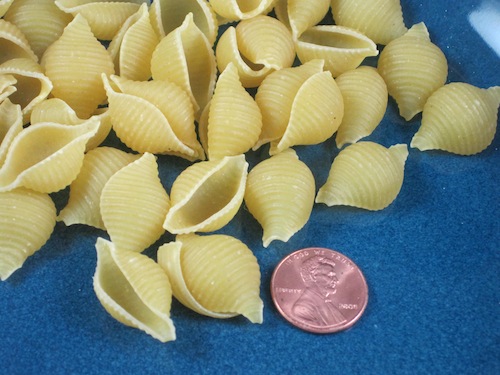 Medium pasta shells