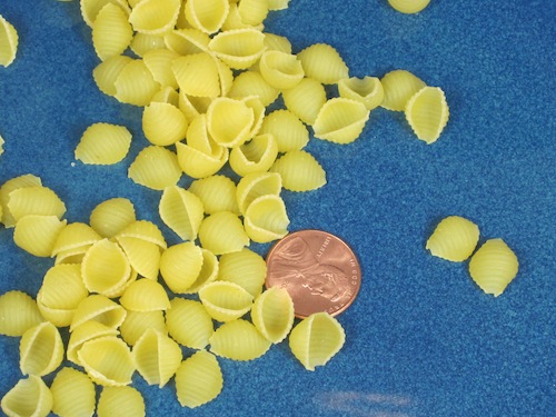 Small pasta shells
