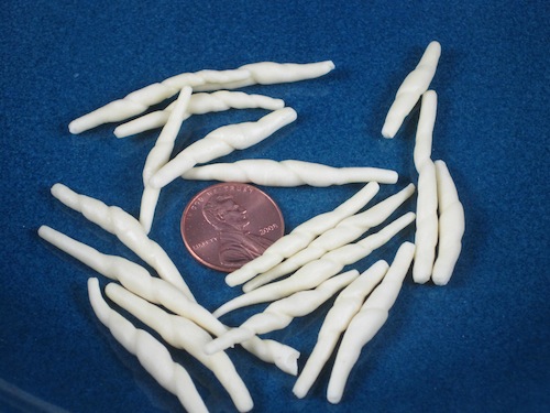 Trofie Pasta Shape